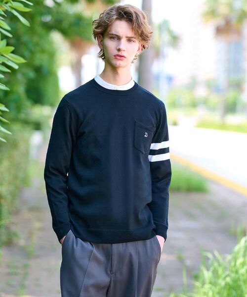 DRESSTERIOR / ドレステリア ニット・セーター | ウォッシャブルファインメリノ クルーネックニット | 詳細11