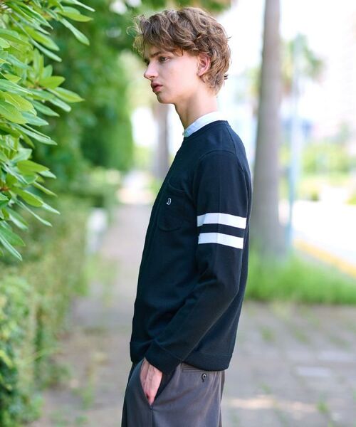 DRESSTERIOR / ドレステリア ニット・セーター | ウォッシャブルファインメリノ クルーネックニット | 詳細12