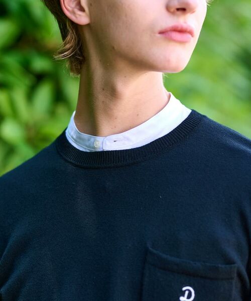 DRESSTERIOR / ドレステリア ニット・セーター | ウォッシャブルファインメリノ クルーネックニット | 詳細14