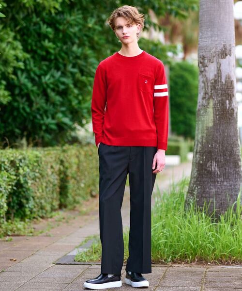 DRESSTERIOR / ドレステリア ニット・セーター | ウォッシャブルファインメリノ クルーネックニット | 詳細17