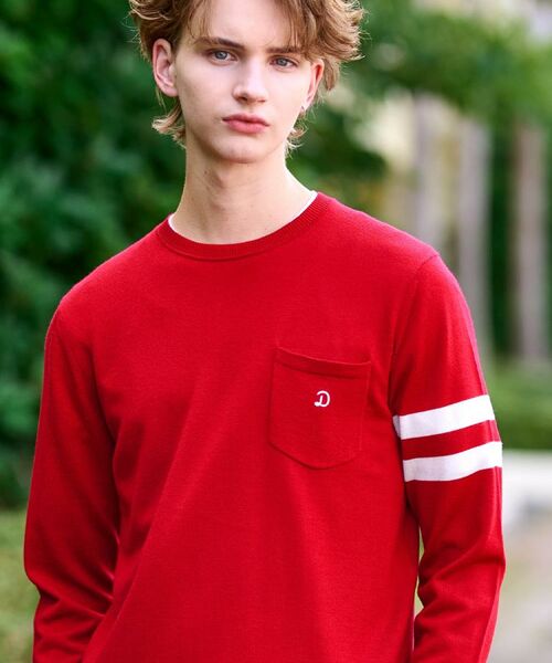 DRESSTERIOR / ドレステリア ニット・セーター | ウォッシャブルファインメリノ クルーネックニット | 詳細18