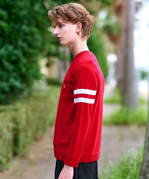 DRESSTERIOR / ドレステリア ニット・セーター | ウォッシャブルファインメリノ クルーネックニット | 詳細20