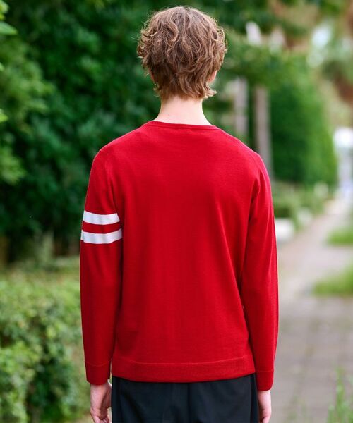 DRESSTERIOR / ドレステリア ニット・セーター | ウォッシャブルファインメリノ クルーネックニット | 詳細21