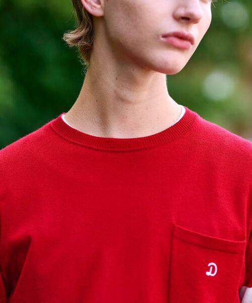 DRESSTERIOR / ドレステリア ニット・セーター | ウォッシャブルファインメリノ クルーネックニット | 詳細22