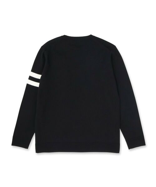 DRESSTERIOR / ドレステリア ニット・セーター | ウォッシャブルファインメリノ クルーネックニット | 詳細27