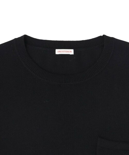 DRESSTERIOR / ドレステリア ニット・セーター | ウォッシャブルファインメリノ クルーネックニット | 詳細28