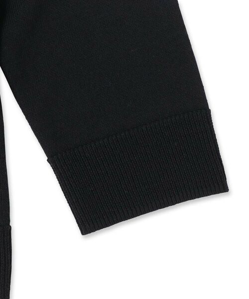 DRESSTERIOR / ドレステリア ニット・セーター | ウォッシャブルファインメリノ クルーネックニット | 詳細29