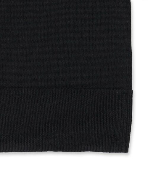 DRESSTERIOR / ドレステリア ニット・セーター | ウォッシャブルファインメリノ クルーネックニット | 詳細30