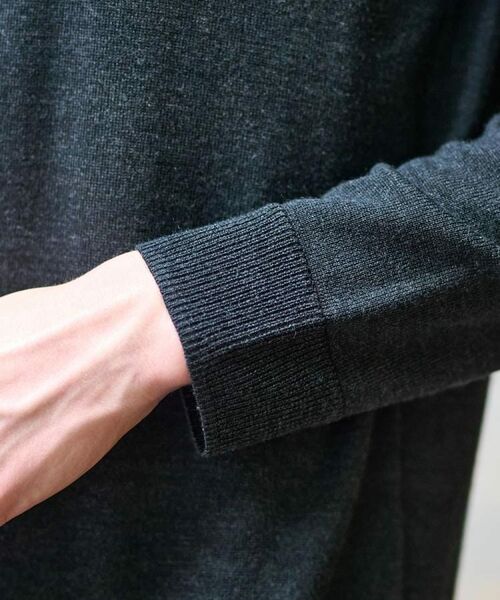 DRESSTERIOR / ドレステリア ニット・セーター | ウォッシャブルファインメリノ クルーネックニット | 詳細8