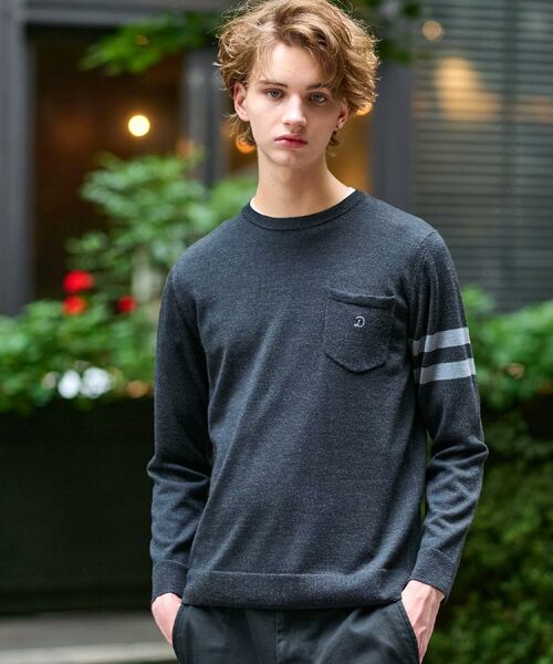 DRESSTERIOR / ドレステリア ニット・セーター | ウォッシャブルファインメリノ クルーネックニット(チャコールグレー(013))