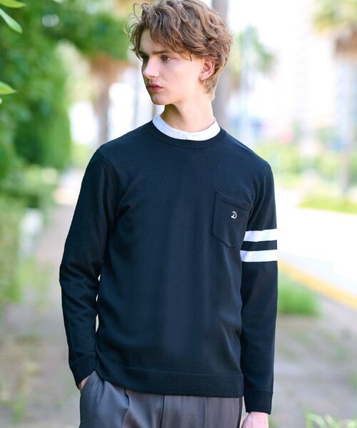 DRESSTERIOR / ドレステリア ニット・セーター | ウォッシャブルファインメリノ クルーネックニット(ブラック(019))