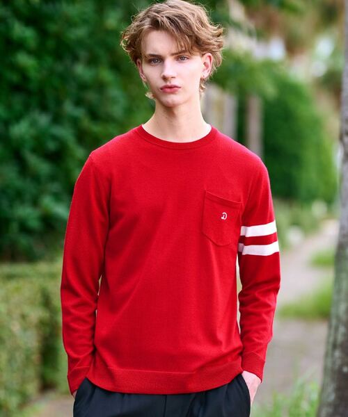 DRESSTERIOR / ドレステリア ニット・セーター | ウォッシャブルファインメリノ クルーネックニット(レッド(062))