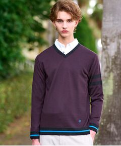 DRESSTERIOR / ドレステリア ニット・セーター | ウォッシャブルファインメリノ Vネックニット