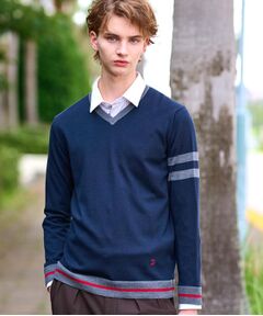 DRESSTERIOR / ドレステリア ニット・セーター | ウォッシャブルファインメリノ Vネックニット