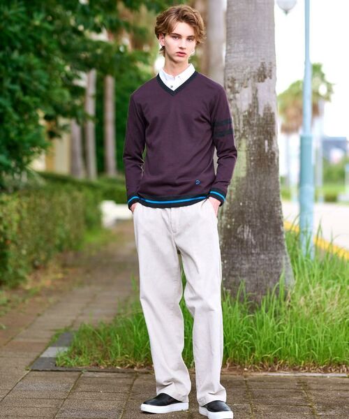 DRESSTERIOR / ドレステリア ニット・セーター | ウォッシャブルファインメリノ Vネックニット | 詳細1