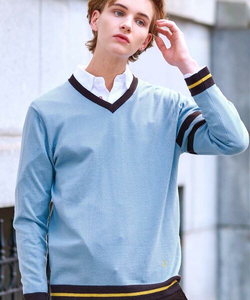 DRESSTERIOR / ドレステリア ニット・セーター | ウォッシャブルファインメリノ Vネックニット | 詳細12