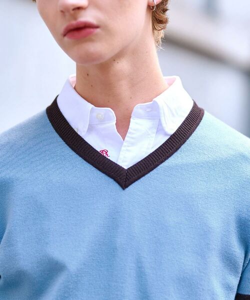 DRESSTERIOR / ドレステリア ニット・セーター | ウォッシャブルファインメリノ Vネックニット | 詳細15