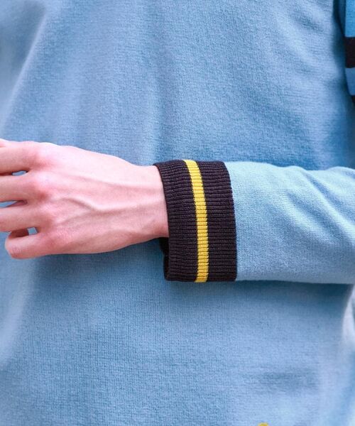 DRESSTERIOR / ドレステリア ニット・セーター | ウォッシャブルファインメリノ Vネックニット | 詳細16