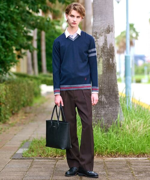 DRESSTERIOR / ドレステリア ニット・セーター | ウォッシャブルファインメリノ Vネックニット | 詳細18