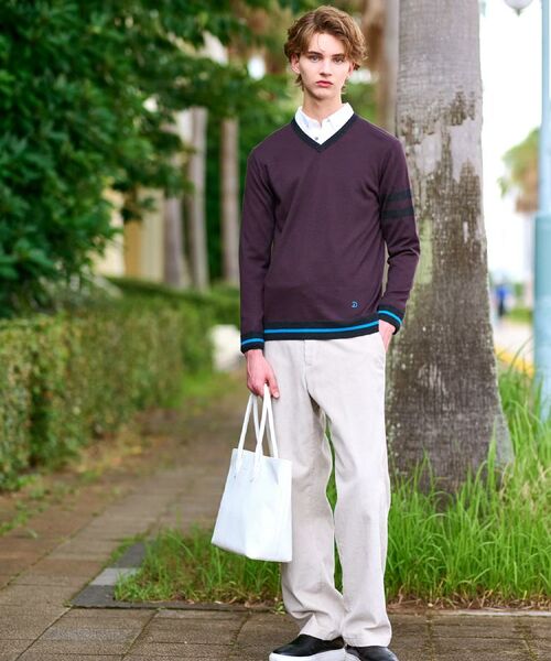 DRESSTERIOR / ドレステリア ニット・セーター | ウォッシャブルファインメリノ Vネックニット | 詳細2
