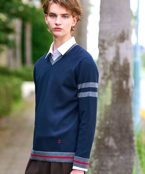 DRESSTERIOR / ドレステリア ニット・セーター | ウォッシャブルファインメリノ Vネックニット | 詳細21