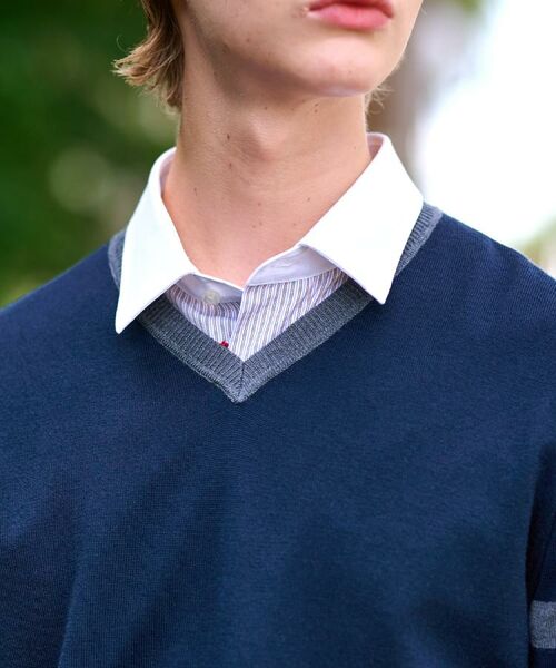 DRESSTERIOR / ドレステリア ニット・セーター | ウォッシャブルファインメリノ Vネックニット | 詳細23