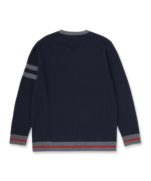 DRESSTERIOR / ドレステリア ニット・セーター | ウォッシャブルファインメリノ Vネックニット | 詳細29