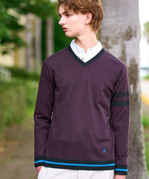 DRESSTERIOR / ドレステリア ニット・セーター | ウォッシャブルファインメリノ Vネックニット | 詳細3