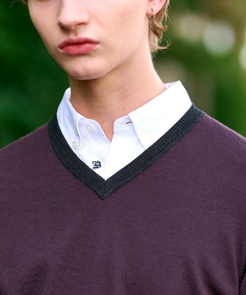 DRESSTERIOR / ドレステリア ニット・セーター | ウォッシャブルファインメリノ Vネックニット | 詳細6