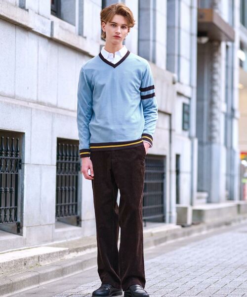 DRESSTERIOR / ドレステリア ニット・セーター | ウォッシャブルファインメリノ Vネックニット | 詳細9