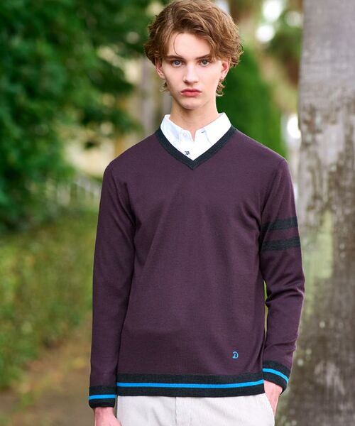 DRESSTERIOR / ドレステリア ニット・セーター | ウォッシャブルファインメリノ Vネックニット(ブラウン(044))