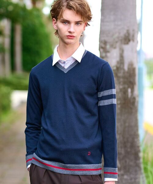 DRESSTERIOR / ドレステリア ニット・セーター | ウォッシャブルファインメリノ Vネックニット(ネイビー(094))