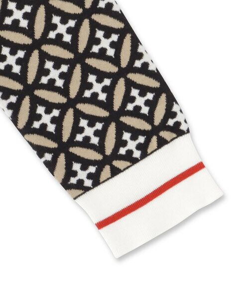 DRESSTERIOR / ドレステリア ニット・セーター | オーバーラップサークルジャカードニット | 詳細12