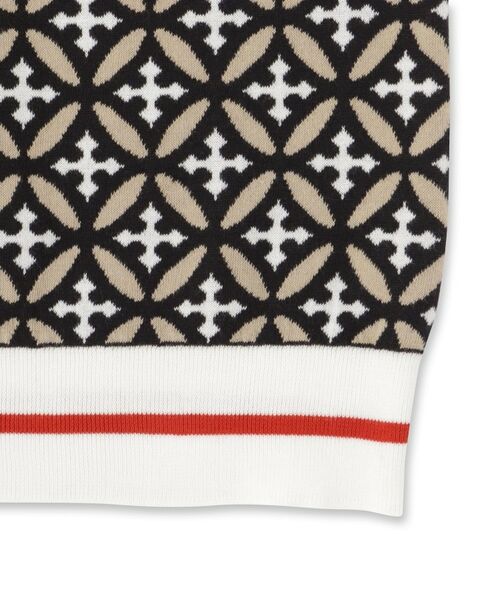 DRESSTERIOR / ドレステリア ニット・セーター | オーバーラップサークルジャカードニット | 詳細13