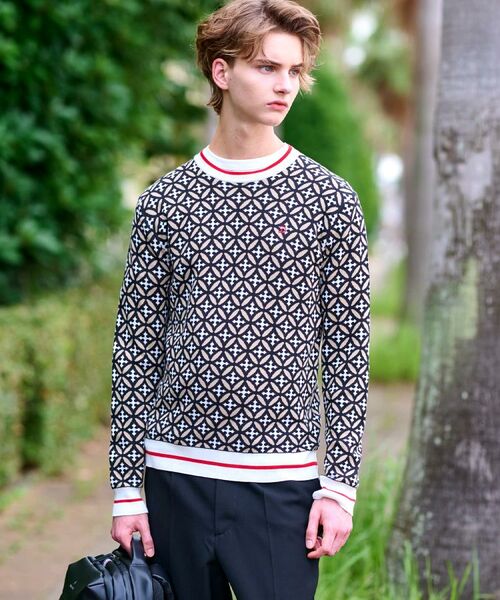 DRESSTERIOR / ドレステリア ニット・セーター | オーバーラップサークルジャカードニット | 詳細3