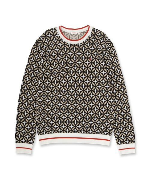 DRESSTERIOR / ドレステリア ニット・セーター | オーバーラップサークルジャカードニット | 詳細9