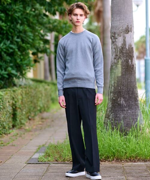 DRESSTERIOR / ドレステリア ニット・セーター | ウォッシャブル コットンカシミヤスムースニット | 詳細19