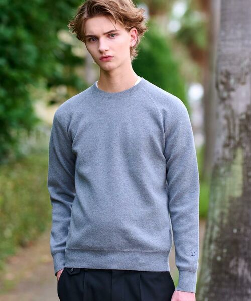 DRESSTERIOR/ドレステリア ウォッシャブル コットンカシミヤスムースニット グレー(012) 91(M) DRESSTERIOR/ドレステリア ウォッシャブル コットンカシミヤスムースニット グレー(012) 91(M)