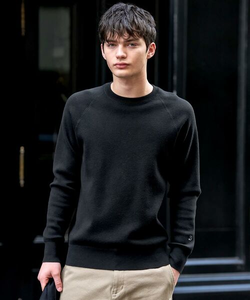 DRESSTERIOR / ドレステリア ニット・セーター | ウォッシャブル コットンカシミヤスムースニット(ブラック(019))