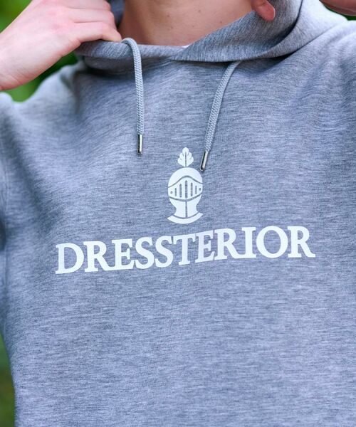 DRESSTERIOR / ドレステリア パーカー | ストレッチポンチ フーディ | 詳細7