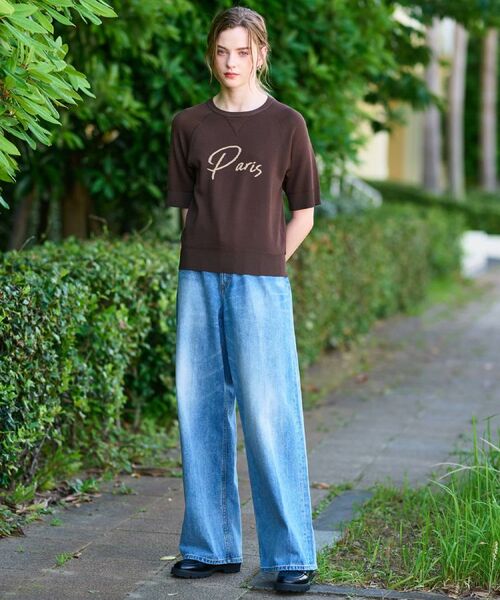 DRESSTERIOR / ドレステリア ニット・セーター | 【洗える/オリジナルロゴ】Parisハーフスリーブジャカードニット | 詳細1