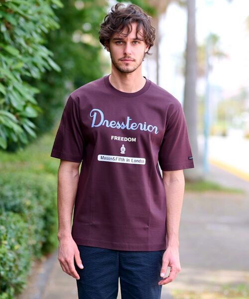 DRESSTERIOR / ドレステリア Tシャツ | 【接触冷感/抗菌防臭/消臭】ICE CLEAR COTTON ロゴT | 詳細10