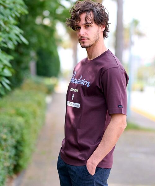 DRESSTERIOR / ドレステリア Tシャツ | 【接触冷感/抗菌防臭/消臭】ICE CLEAR COTTON ロゴT | 詳細11