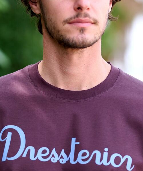 DRESSTERIOR / ドレステリア Tシャツ | 【接触冷感/抗菌防臭/消臭】ICE CLEAR COTTON ロゴT | 詳細12