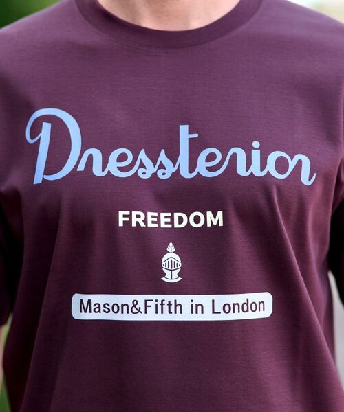 DRESSTERIOR / ドレステリア Tシャツ | 【接触冷感/抗菌防臭/消臭】ICE CLEAR COTTON ロゴT | 詳細13