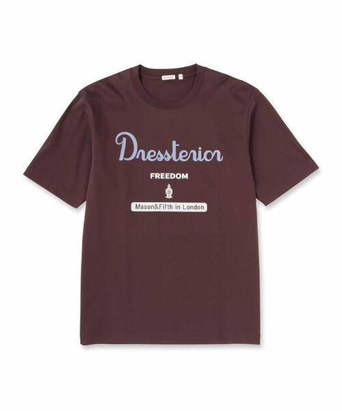 DRESSTERIOR / ドレステリア Tシャツ | 【接触冷感/抗菌防臭/消臭】ICE CLEAR COTTON ロゴT | 詳細25