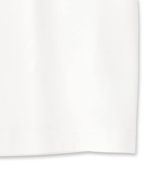DRESSTERIOR / ドレステリア Tシャツ | 【接触冷感/抗菌防臭/消臭】ICE CLEAR COTTON ロゴT | 詳細30