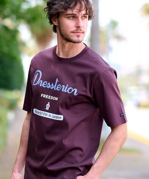 DRESSTERIOR / ドレステリア Tシャツ | 【接触冷感/抗菌防臭/消臭】ICE CLEAR COTTON ロゴT | 詳細9