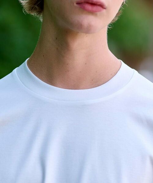 DRESSTERIOR / ドレステリア Tシャツ | 【接触冷感/抗菌防臭/消臭】ICE CLEAR COTTON クルーネックロンT | 詳細13
