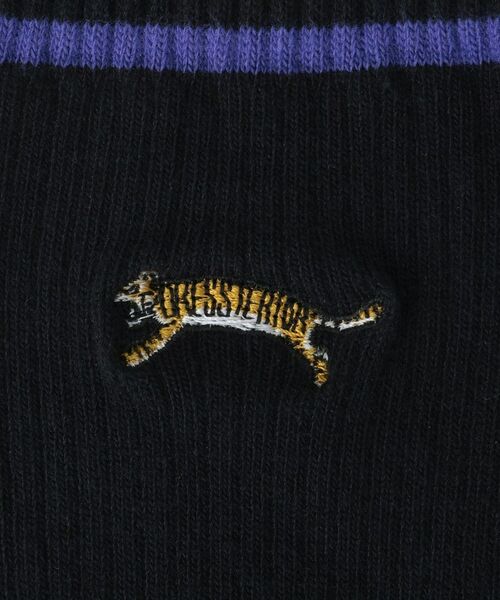 DRESSTERIOR / ドレステリア ソックス | タイガー刺繍 ラインソックス | 詳細7